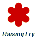  Raising Fry 