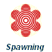  Spawning  