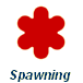  Spawning  